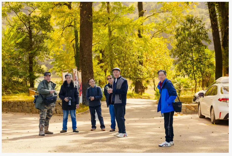 [第七届全国文明单位]古村藏雅韵 红枫引客来 景德镇老年大学采风活动走进婺源